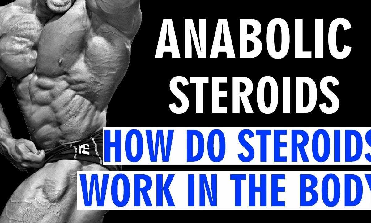 How to choose anabolic steroids
