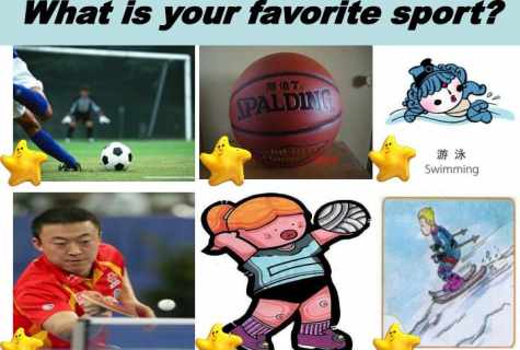 What is sport