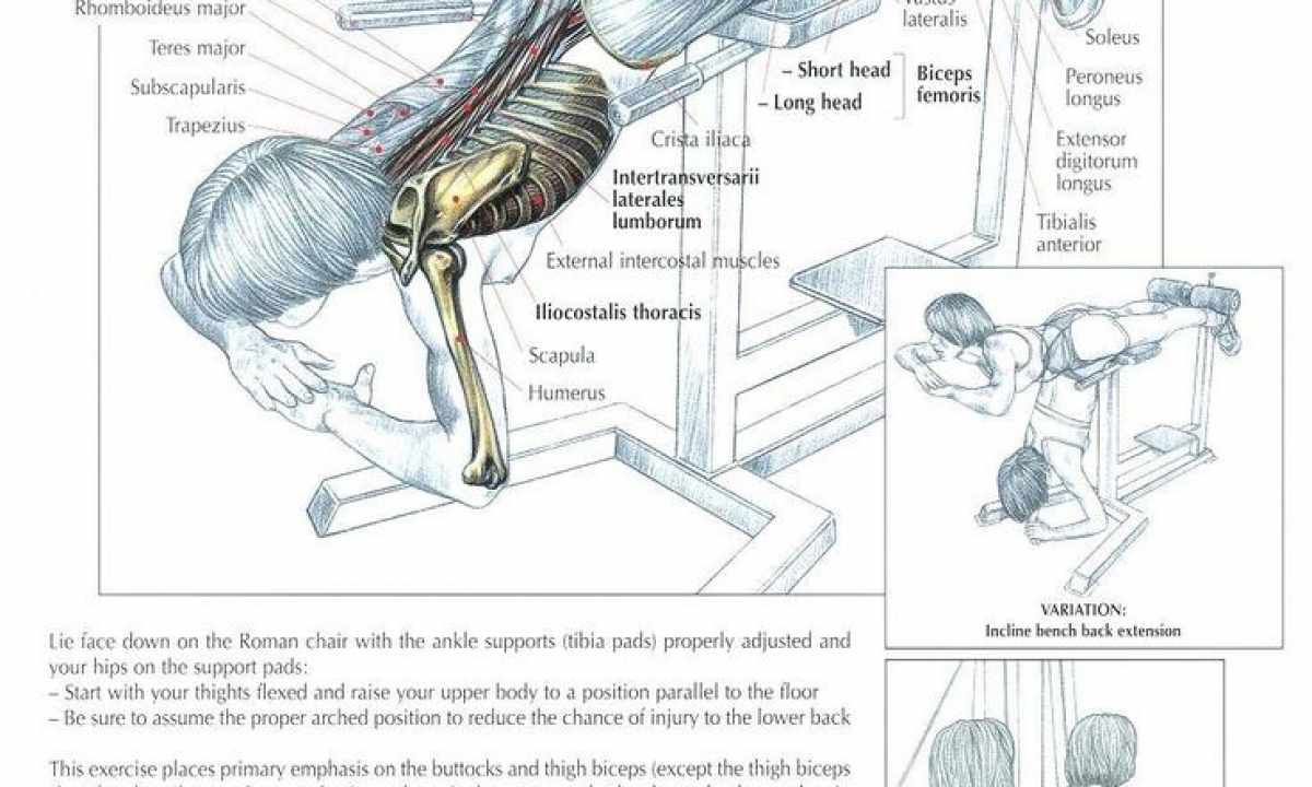 What exercise for the extension of muscles exist