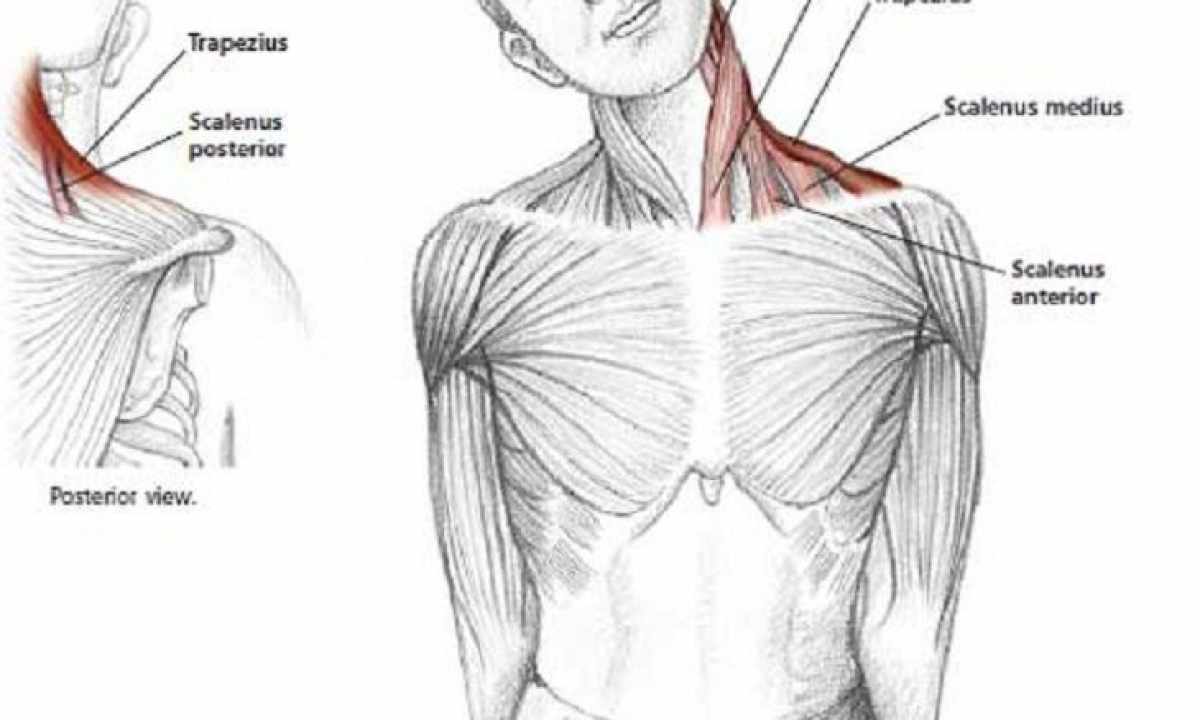 How to lower shoulders