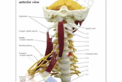 How to pump up cervical muscles