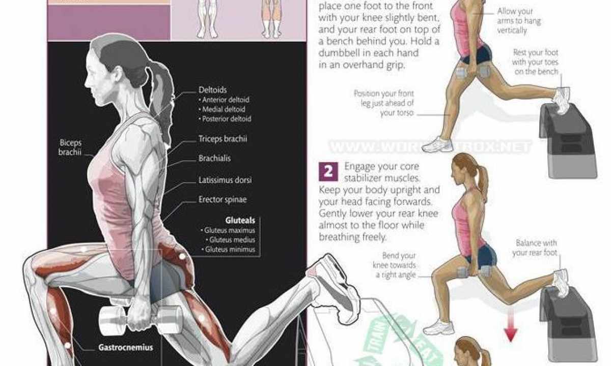 How to learn to do the split. Exercises for the extension of muscles