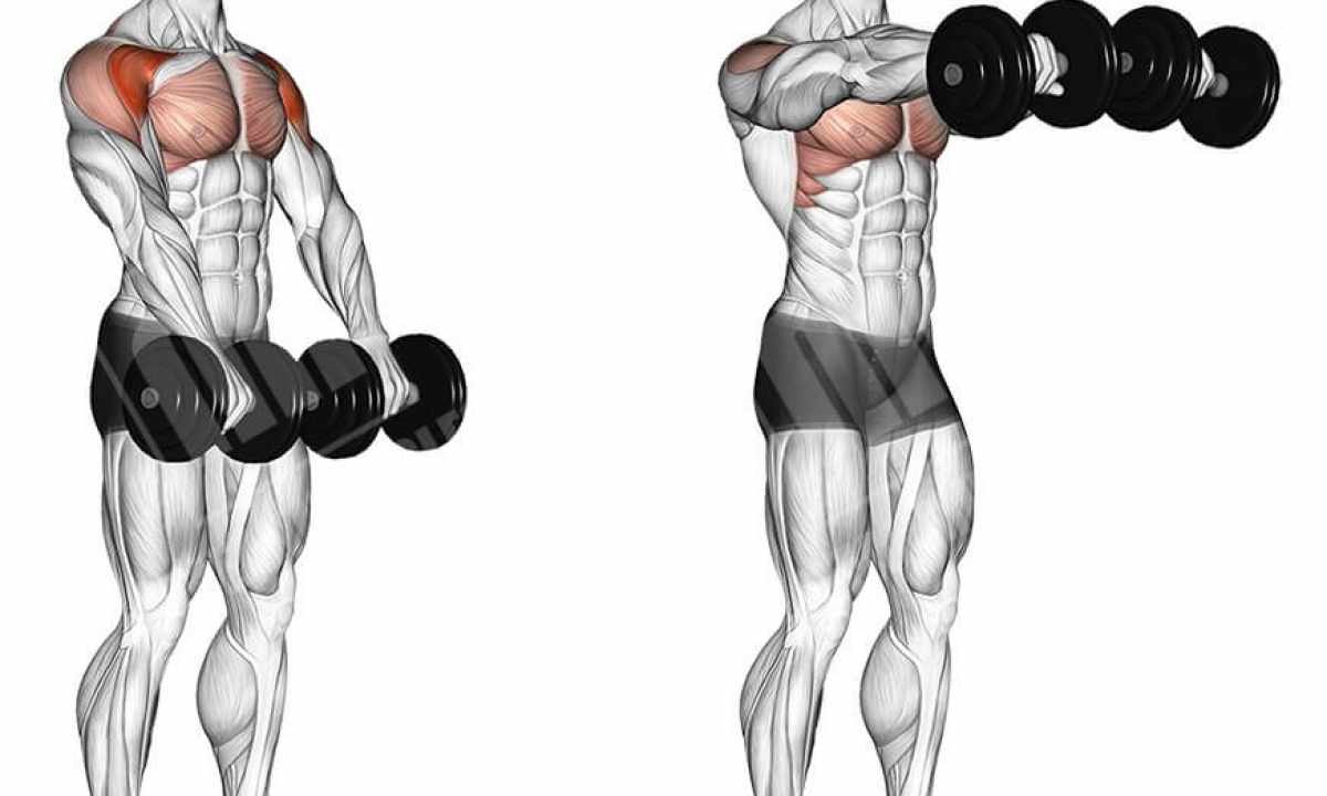 Exercises for deltoid muscles