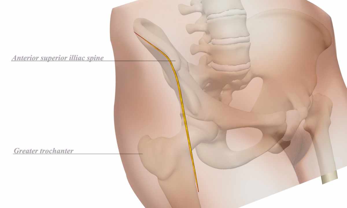 How to tighten the internal part of the hip