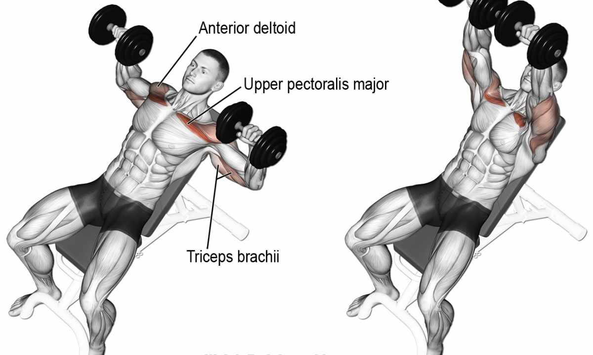 How to pump up pectoral muscles on the horizontal bar