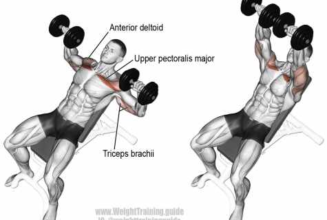 How to pump up pectoral muscles on the horizontal bar