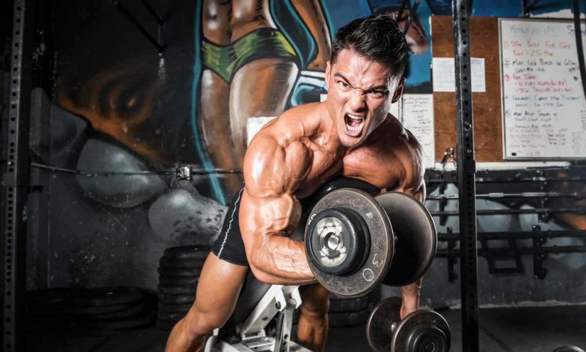 How to pump up the biceps without exercise machines