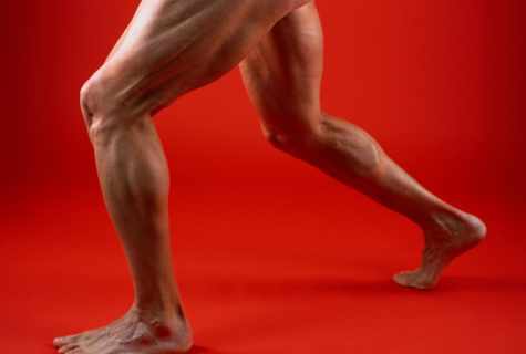 As muscles of legs at run work
