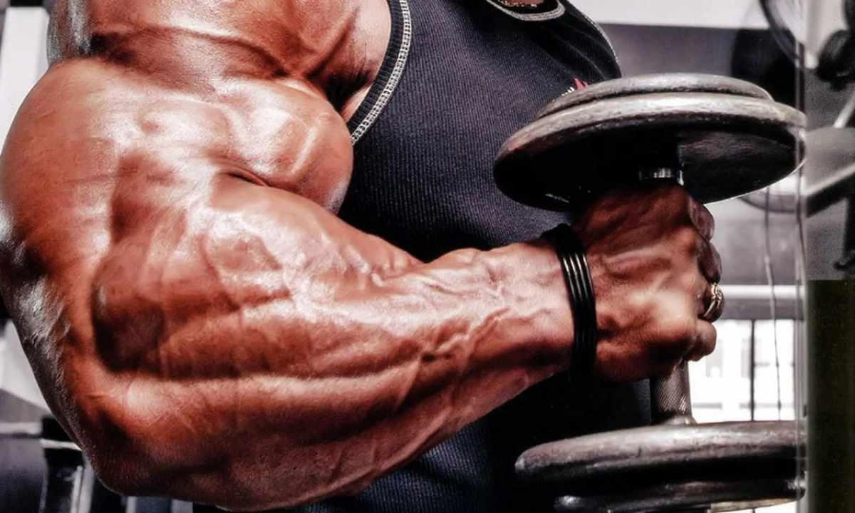 How to pump up hands dumbbells