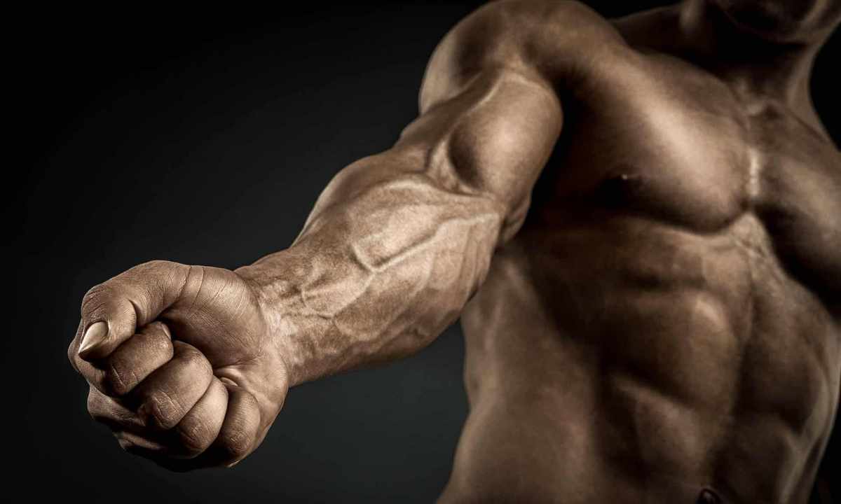 How to pump up muscles of hands in the week