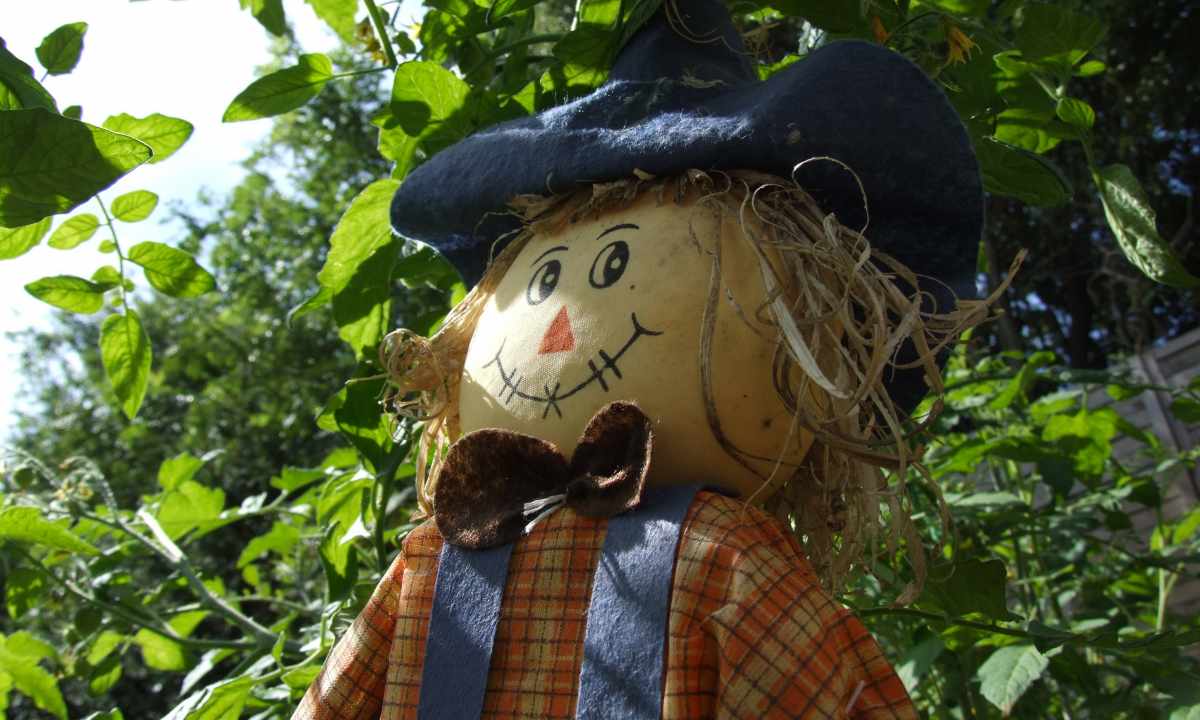 How to make garden scarecrow