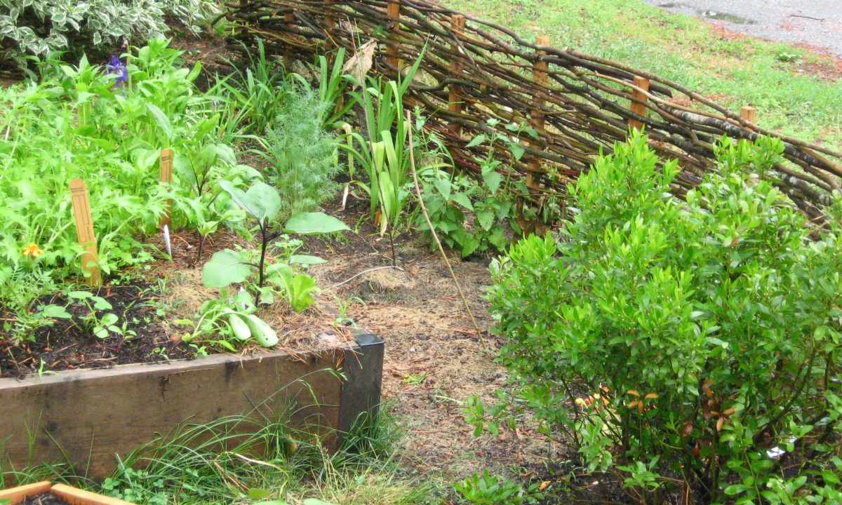 How to make wattle fence for giving