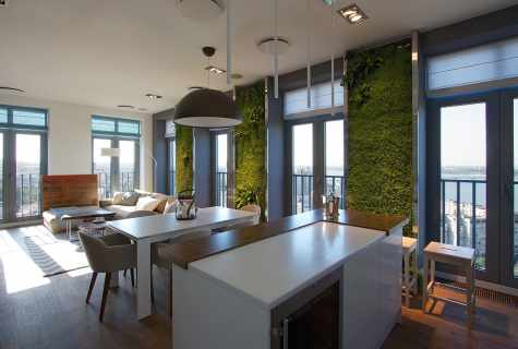Vertical gardening of interior of the apartment