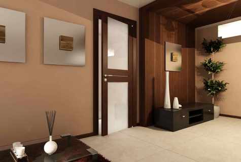 Light interroom doors