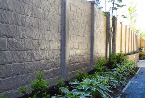 What to paint concrete fence with