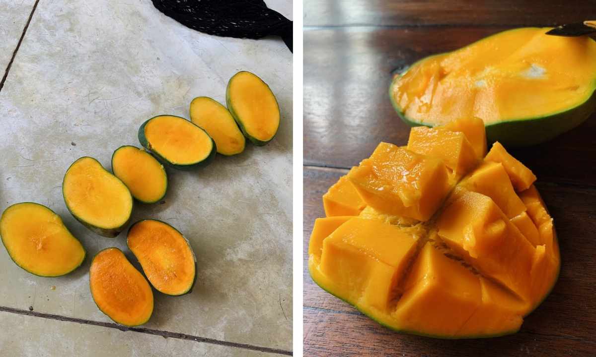 How to put mango stone