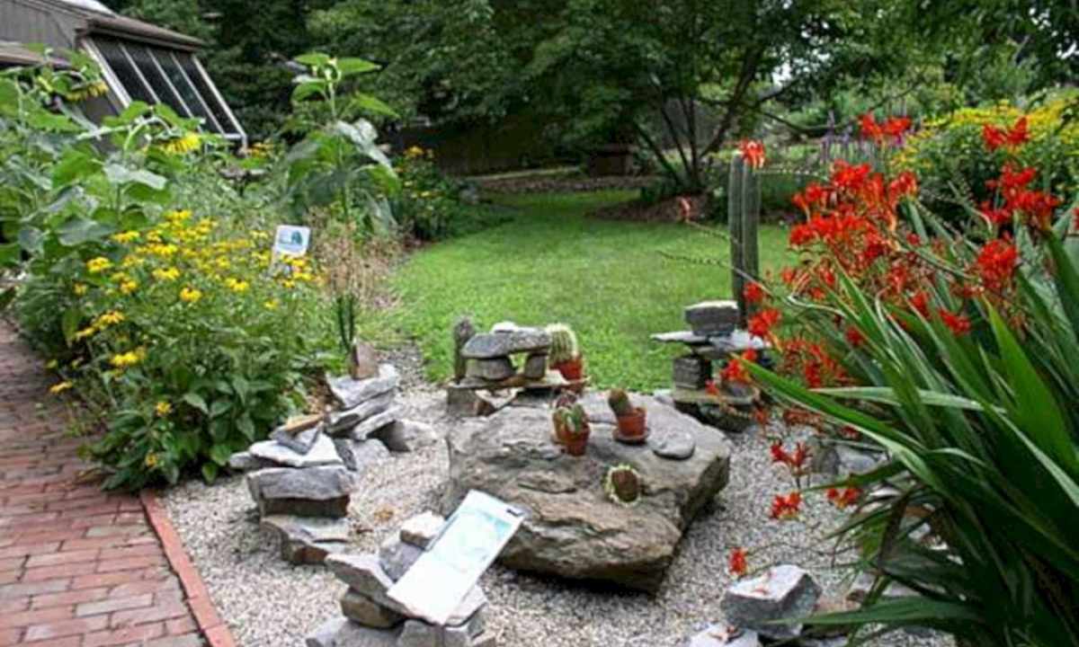 How to make rock garden at the dacha