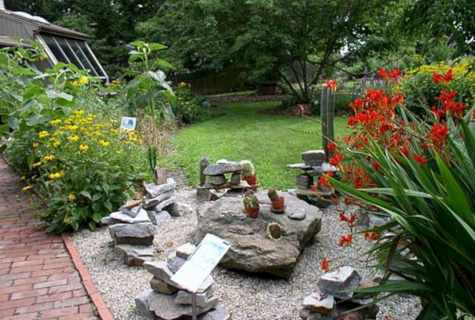 How to make rock garden at the dacha
