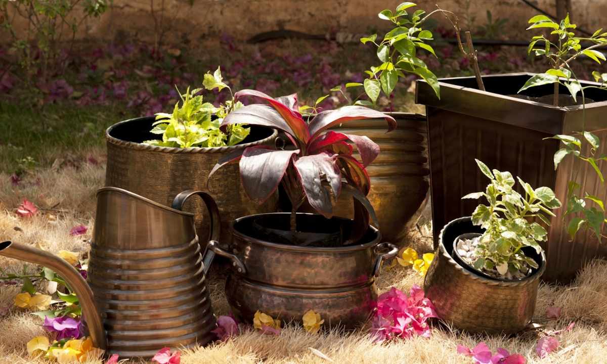 As it is beautiful to decorate garden barrel