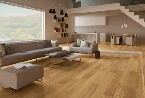 How to choose color of floors