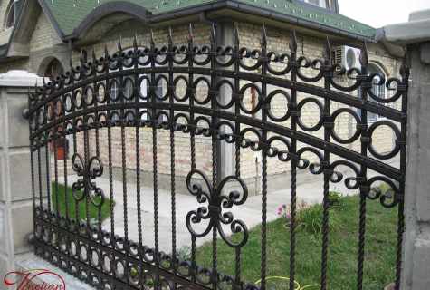 Wrought-iron fences: types and selection criteria