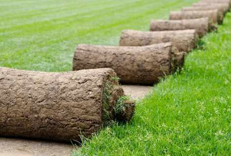 As it is correct to put rolled lawn