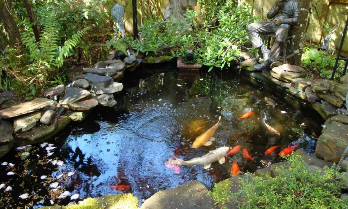 How to make pond on the seasonal dacha
