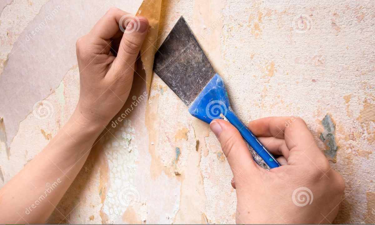 How to glue wall-paper on plaster
