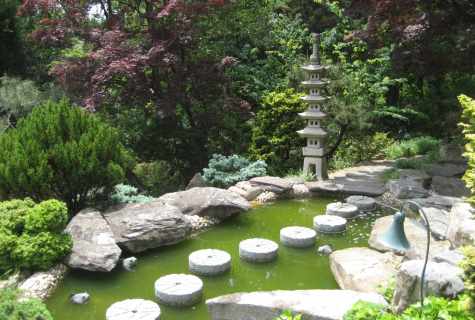 How to create garden in the Japanese style