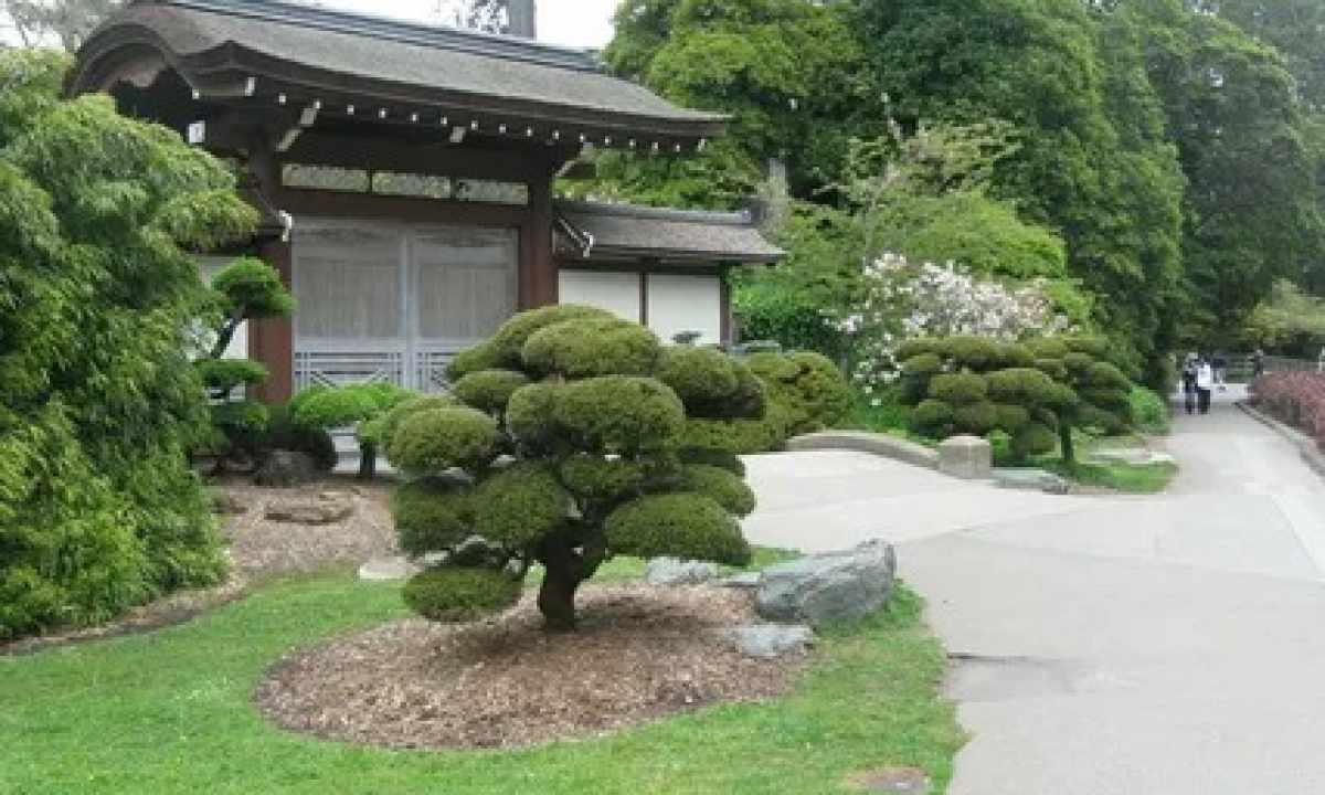 Small Japan: garden in the Japanese style