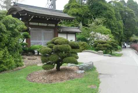 Small Japan: garden in the Japanese style