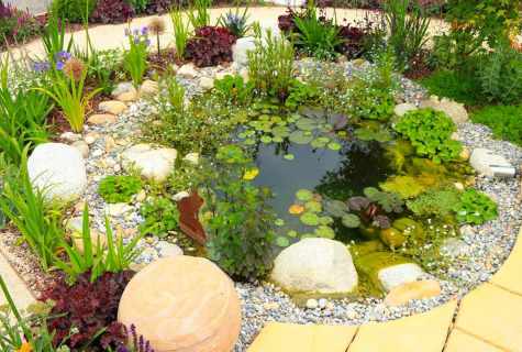 How to make decorative pond