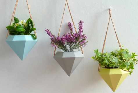 What flowers are suitable for suspended baskets
