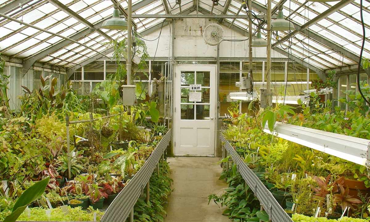 How to put the greenhouse
