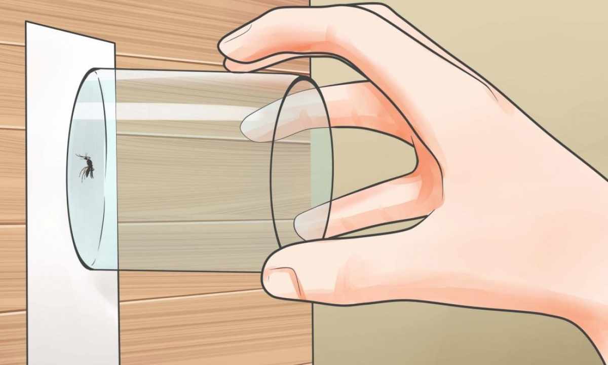How to insert mirror