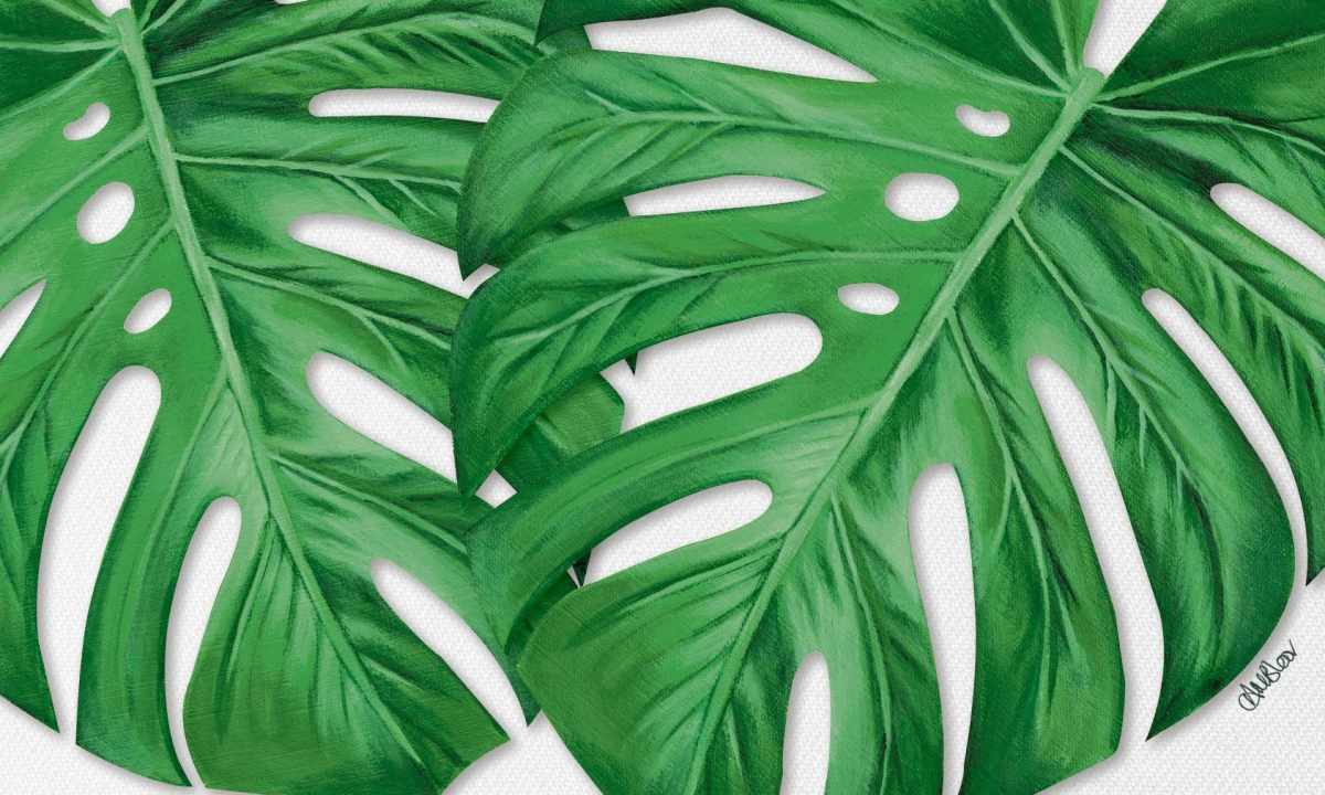 How to make multiple copies monstera