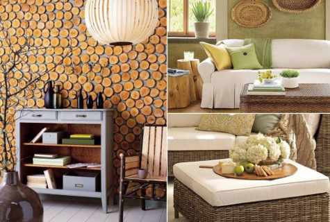 Ecostyle or natural style in interior