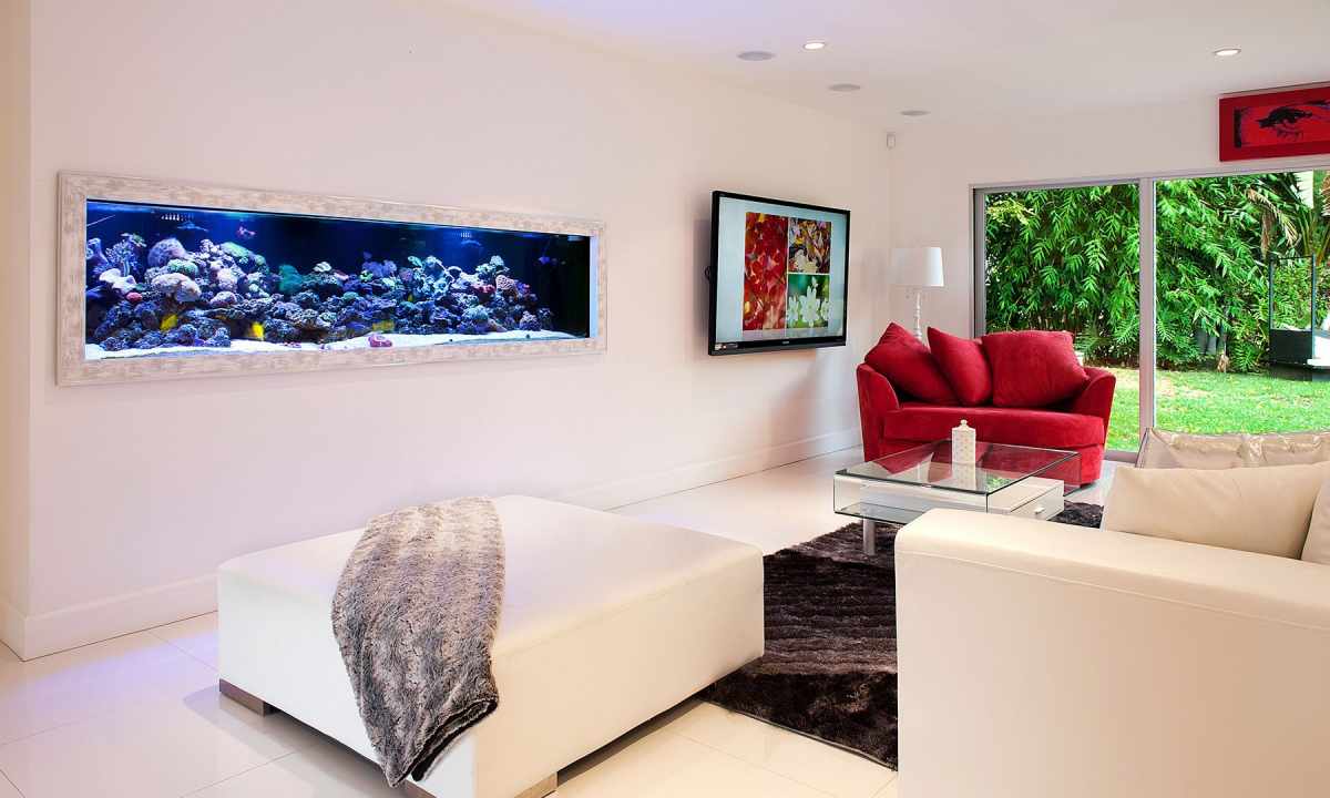 Aquariums in interior: what to pay attention to