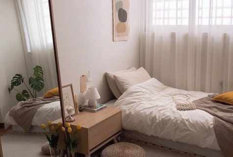 How to make the bedroom in the one-room apartment