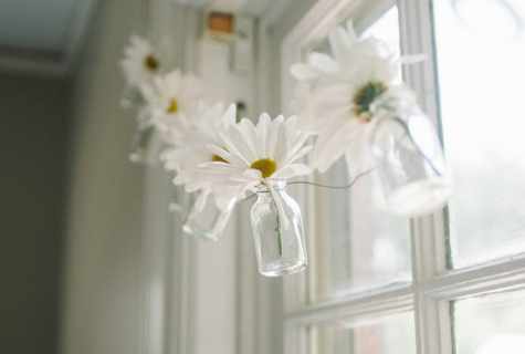 How to decorate window with daisy
