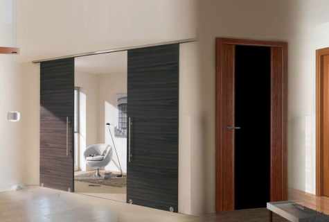 Types of mirror interroom doors