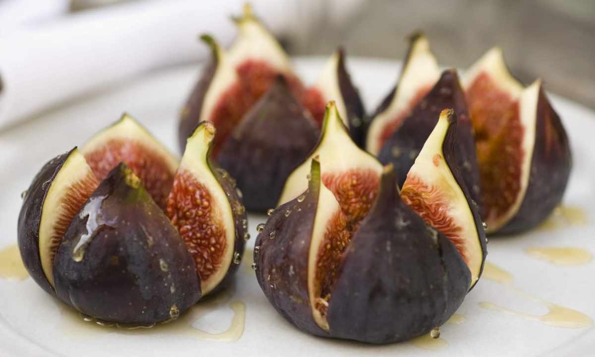 How to put fig