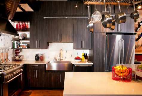 Interior of kitchen: what option of design to choose