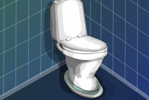 How to issue toilet