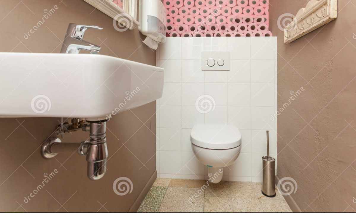 How to make design of small toilet