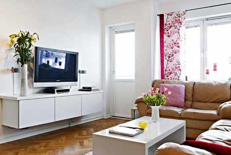 How to arrange the 1-roomed apartment