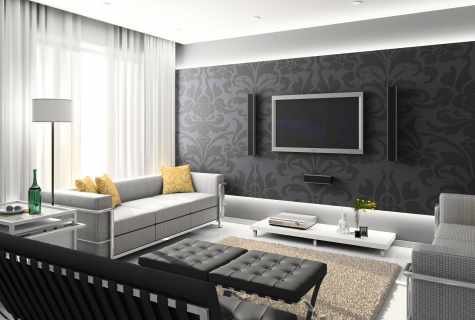 Gray wall-paper in living room interior: pros and cons