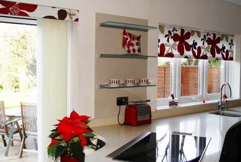 How to choose curtains on kitchen