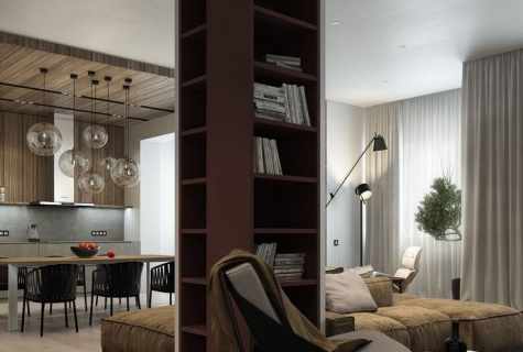How to use columns in apartment interior