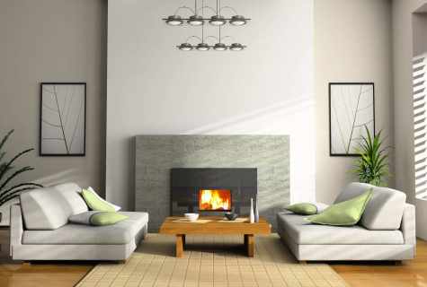 Decorative fireplaces for the apartment: what to choose